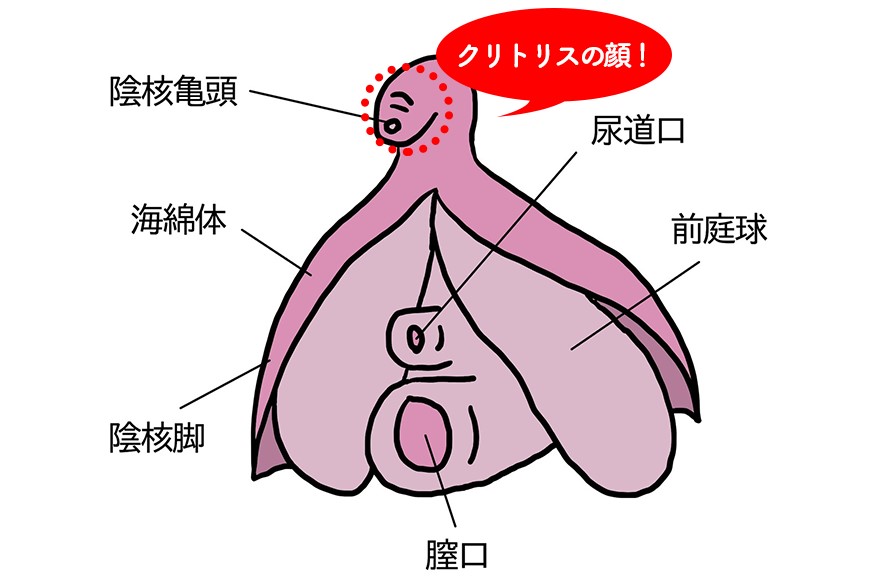 ベッツィーさんの男性向けセックステクニック記事の画像