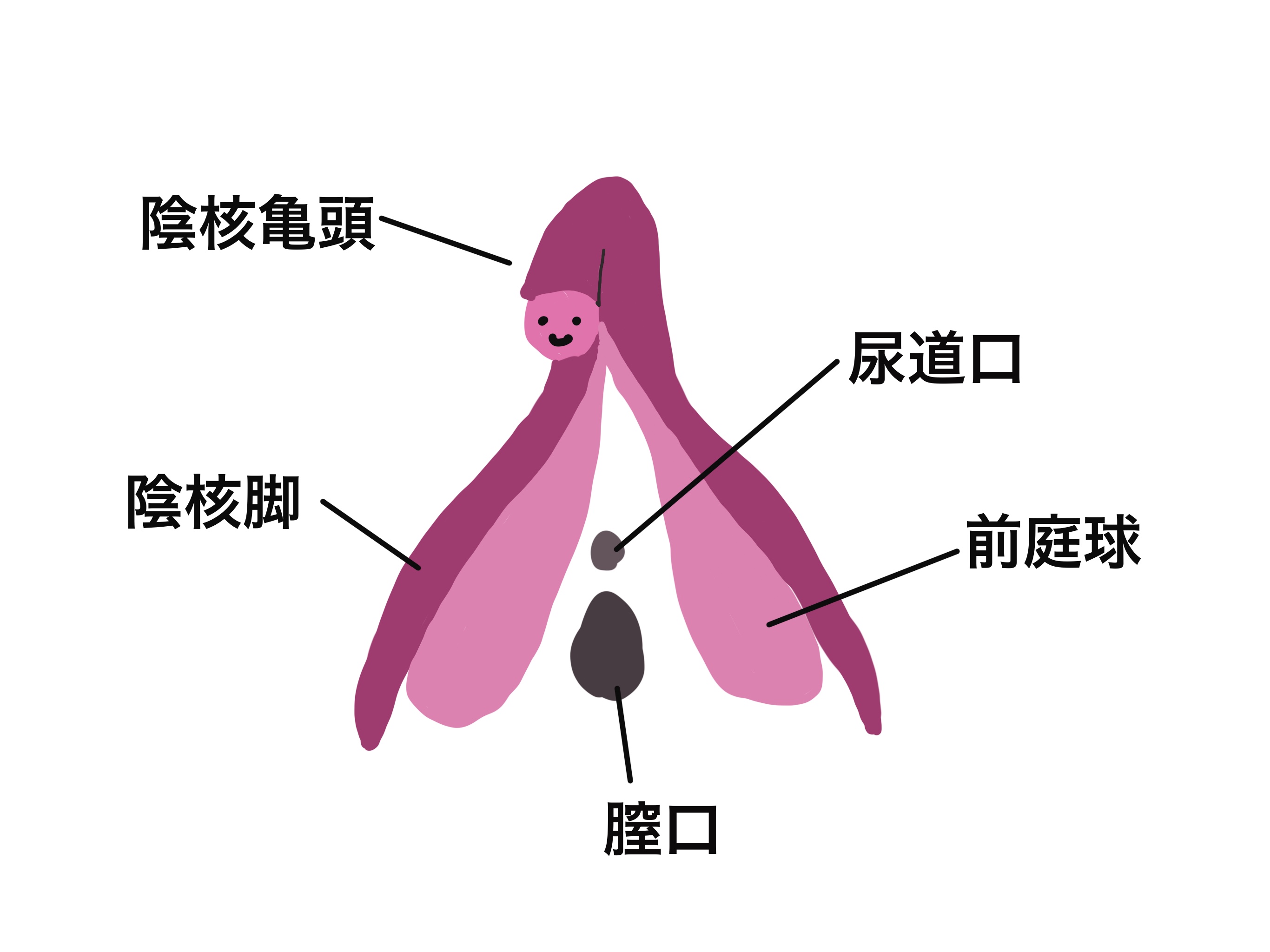 ベッツィーさんの男性向けセックステクニック記事の画像