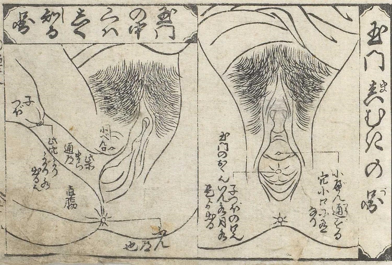 春画