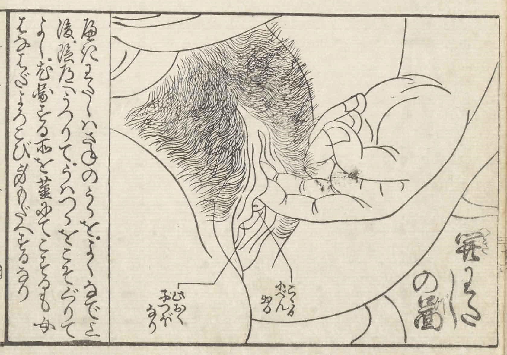 春画