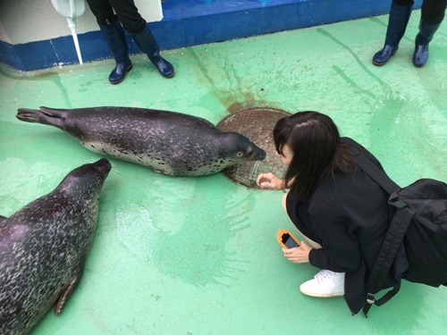 家族カップル友達におススメの年末旅行先