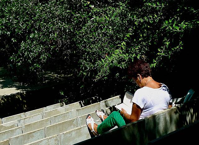 女性が読書している写真